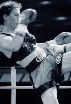 Holly, "The Wild Cat" - Kickboxer